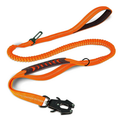 Tactical Dog Leash with Frog Buckle