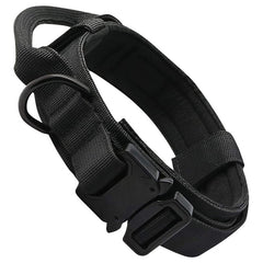Personalized Fashion Tactical Dog Collar