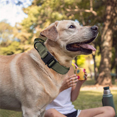 Personalized Fashion Tactical Dog Collar